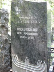 Ляховский Лев Аронович, Москва, Востряковское кладбище