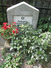 Лившиц Григорий Маркович, Москва, Востряковское кладбище