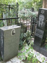 Эфроимский Лазарь Айзикович, Москва, Востряковское кладбище
