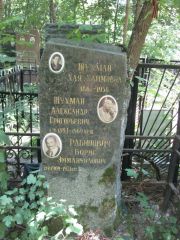 Рабинович Борис Эммануилович, Москва, Востряковское кладбище