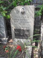 Розенцвейг Петр Яковлевич, Москва, Востряковское кладбище