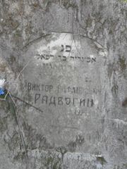 Радвогин Виктор Рафаилович, Москва, Востряковское кладбище