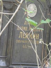 Лейкин Давид Львович, Москва, Востряковское кладбище