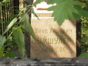 Найшулер Яков Арьевич, Москва, Востряковское кладбище