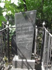 Дубровицкий Лев Абрамович, Москва, Востряковское кладбище