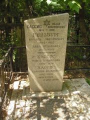 Гинзбург Израиль Эфроимович, Москва, Востряковское кладбище