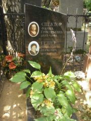 Спектор Фаина Григорьевна, Москва, Востряковское кладбище