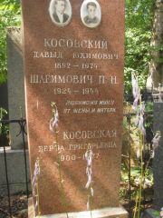 Косовский Давыд Юхимович, Москва, Востряковское кладбище