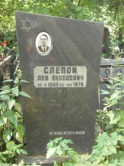 Слепой Лев Яковлевич, Москва, Востряковское кладбище
