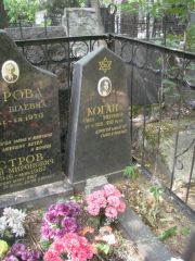 Коган Рива Мееровна, Москва, Востряковское кладбище