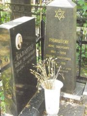 Рубинштейн Ион Ошерович, Москва, Востряковское кладбище