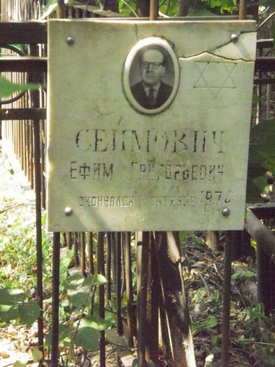 Сеймович Ефим Григорьевич