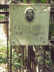 Сеймович Ефим Григорьевич, Москва, Востряковское кладбище