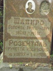 Шапиро Соломон Григорьевич, Москва, Востряковское кладбище
