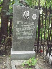 Горфинкель Иосиф Самойлович, Москва, Востряковское кладбище