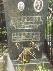 Кричевский Ефим Моисеевич, Москва, Востряковское кладбище