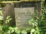 Лесюк-Шац Клара Ефимовна, Москва, Востряковское кладбище