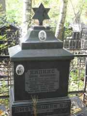 Кипнис Давид Абрамович, Москва, Востряковское кладбище