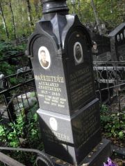 Файнштейн Александр Леонтьевич, Москва, Востряковское кладбище