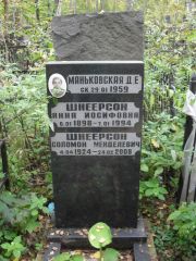 Шнеерсон Анна Иосифовна, Москва, Востряковское кладбище