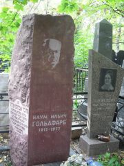 Гольдфарб Наум Ильич, Москва, Востряковское кладбище