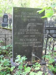 Песикова Доба Айзиковна, Москва, Востряковское кладбище
