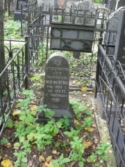 Фейгин М. Я., Москва, Востряковское кладбище