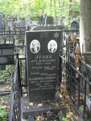 Левин Лев Моисеевич, Москва, Востряковское кладбище
