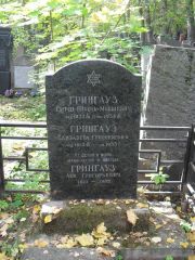 Грингауз Гирш Янкель-Мовшевич, Москва, Востряковское кладбище
