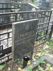 Грингауз Анатолий Львович, Москва, Востряковское кладбище