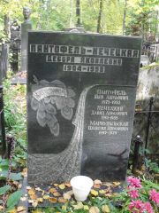 Пантофель-Нечецкая Дебора Яковлевна, Москва, Востряковское кладбище