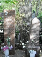 Фейгин Сарра Евсеевна, Москва, Востряковское кладбище