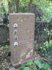 Гинис Д. И., Москва, Востряковское кладбище