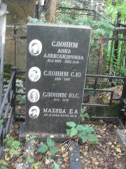 Слоним Анна Александровна, Москва, Востряковское кладбище