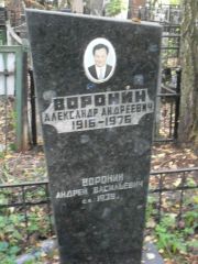 Воронин Александр Андреевич, Москва, Востряковское кладбище