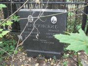 Брагинский Моисей Абрамович, Москва, Востряковское кладбище