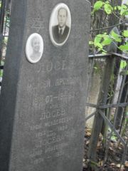 Лосева Мария Моисеевна, Москва, Востряковское кладбище