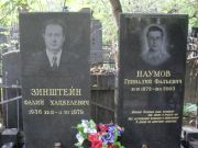 Зинштейн Фалий Хацкелевич, Москва, Востряковское кладбище