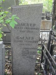 Блехер Зелда Симоновна, Москва, Востряковское кладбище