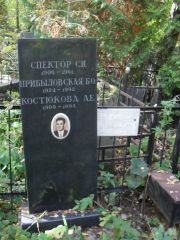 Спектор Савелий Исаакович, Москва, Востряковское кладбище