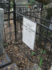 Габер Рафаил Исаакович, Москва, Востряковское кладбище