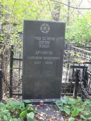 Аронов Соломон Меерович, Москва, Востряковское кладбище