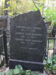 Лейкина Фаня Наумовна, Москва, Востряковское кладбище