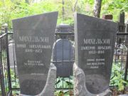 Михельзон Юрий Михайлович, Москва, Востряковское кладбище