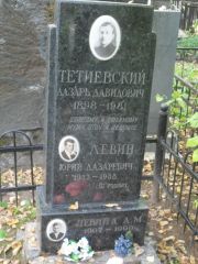 Тетиевский Лазарь Давидович, Москва, Востряковское кладбище