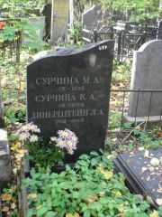 Динерштейн Л. А., Москва, Востряковское кладбище