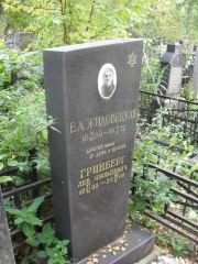 Гринберг Лев Яковлевич, Москва, Востряковское кладбище