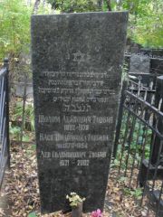Товбина Бася Шоломоновна, Москва, Востряковское кладбище