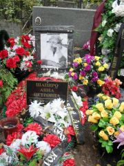 Шапиро Анна Петровна, Москва, Востряковское кладбище