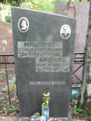 Аронов Илья Рувимович, Москва, Востряковское кладбище